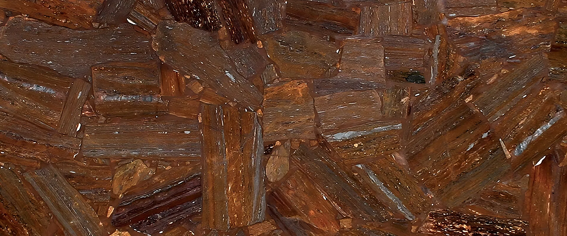 banner-Image
