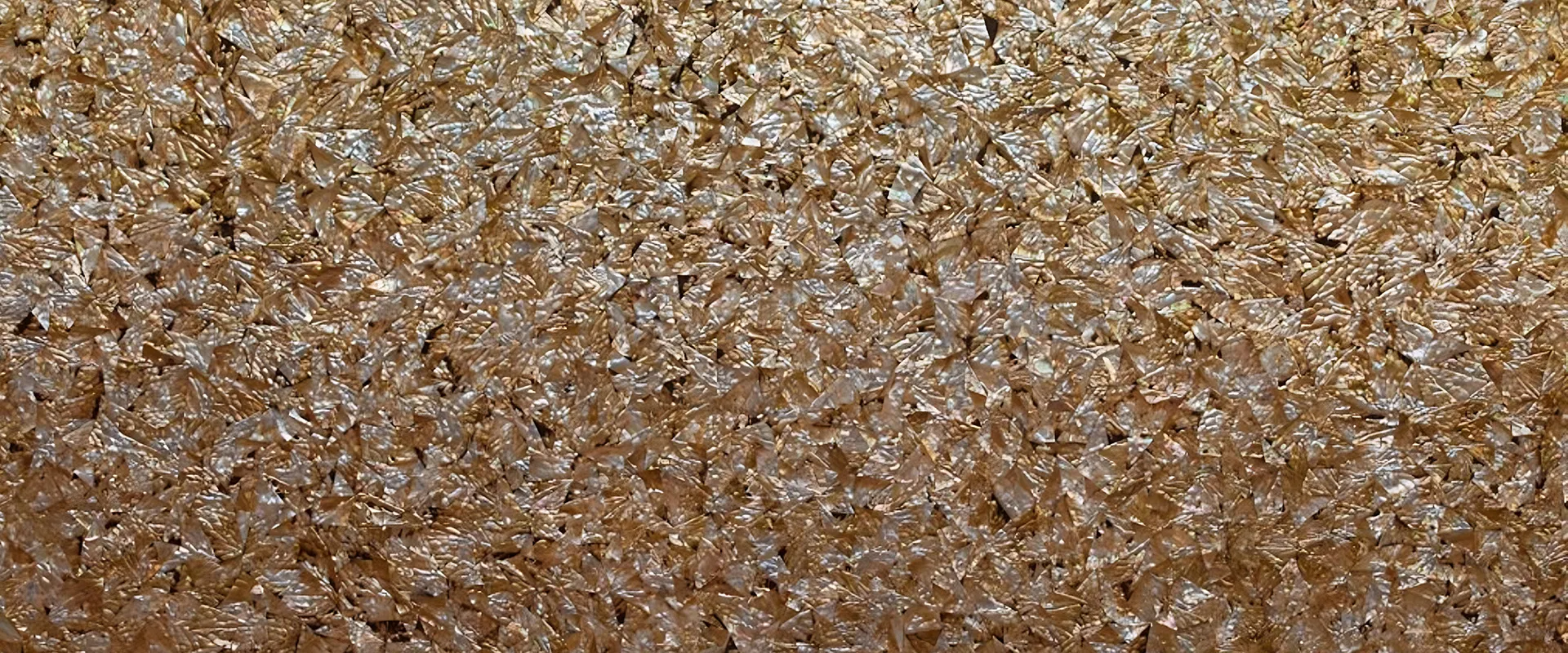 banner-Image