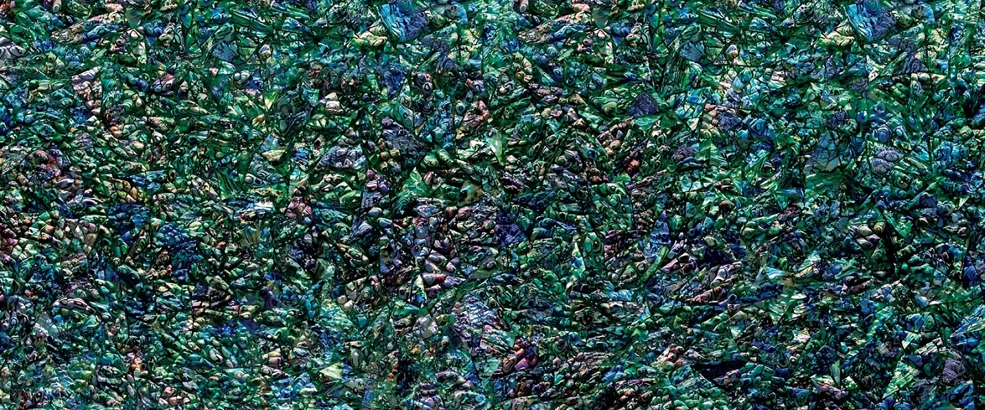 banner-Image