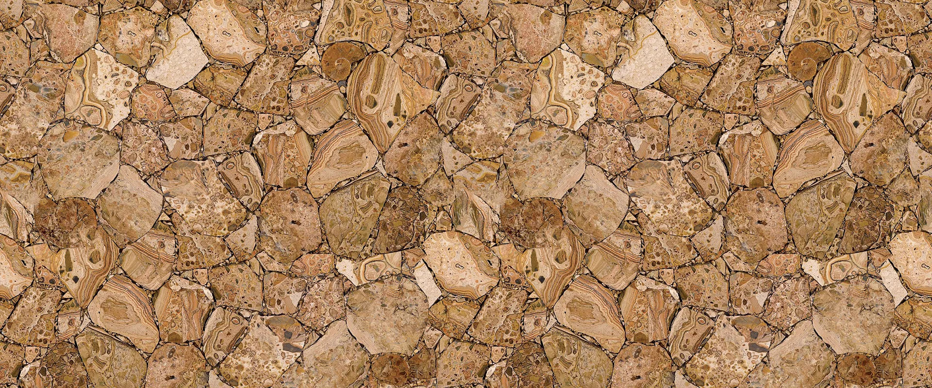banner-Image