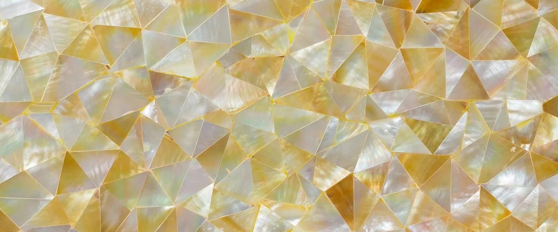banner-Image