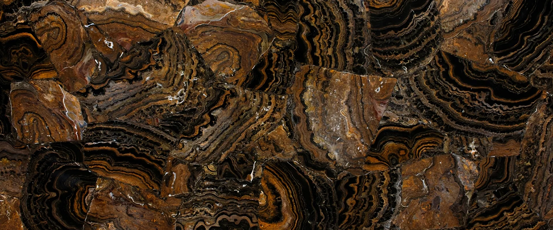 banner-Image