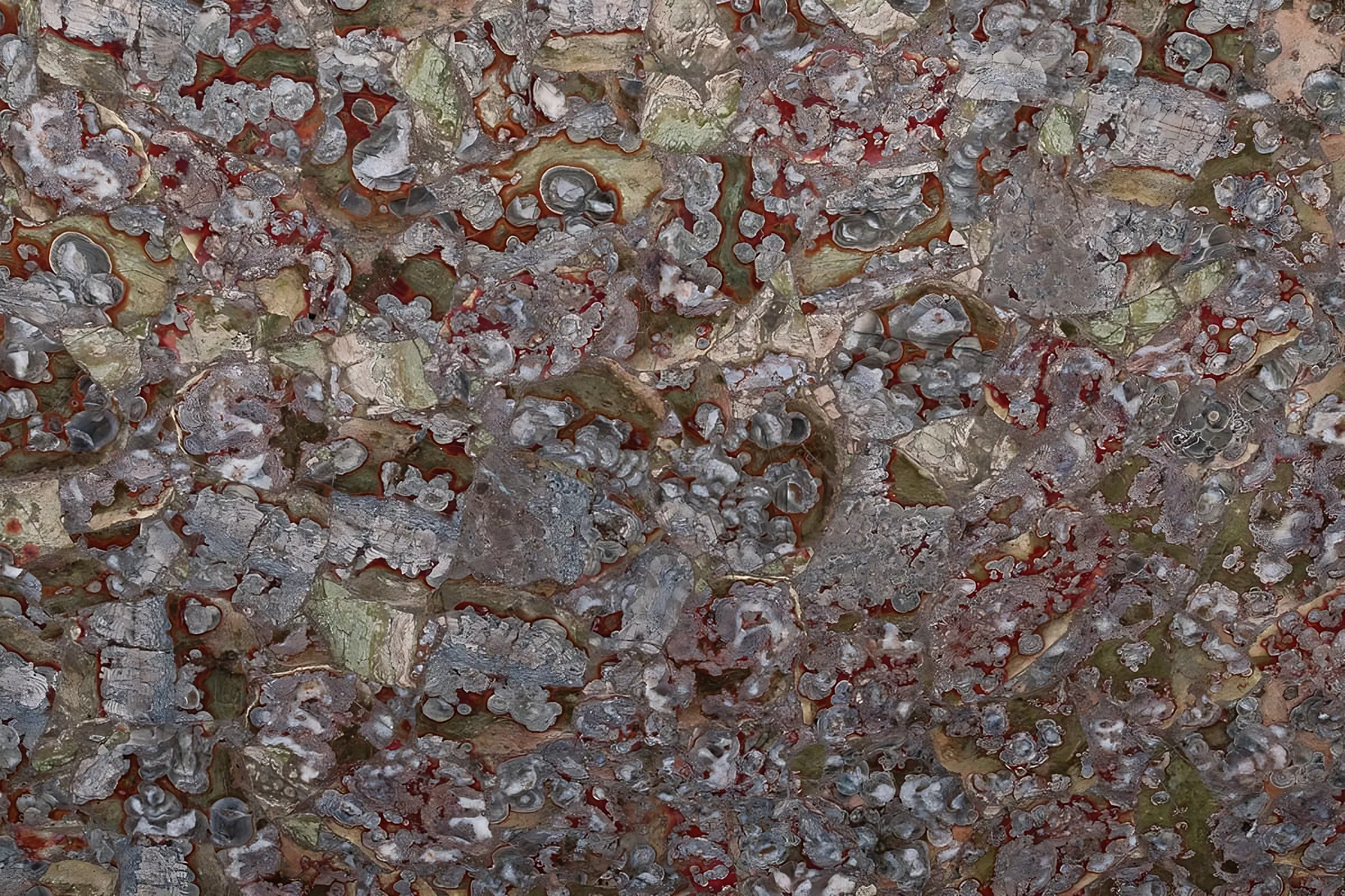 banner-Image