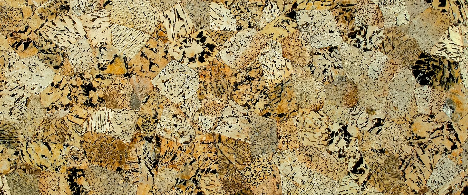 banner-Image