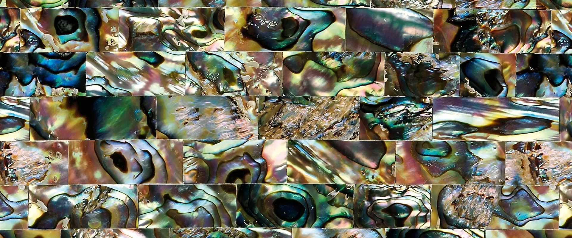 banner-Image