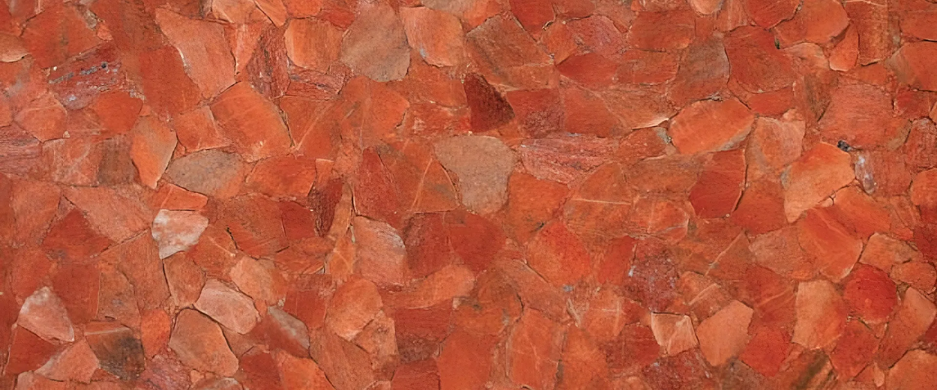banner-Image