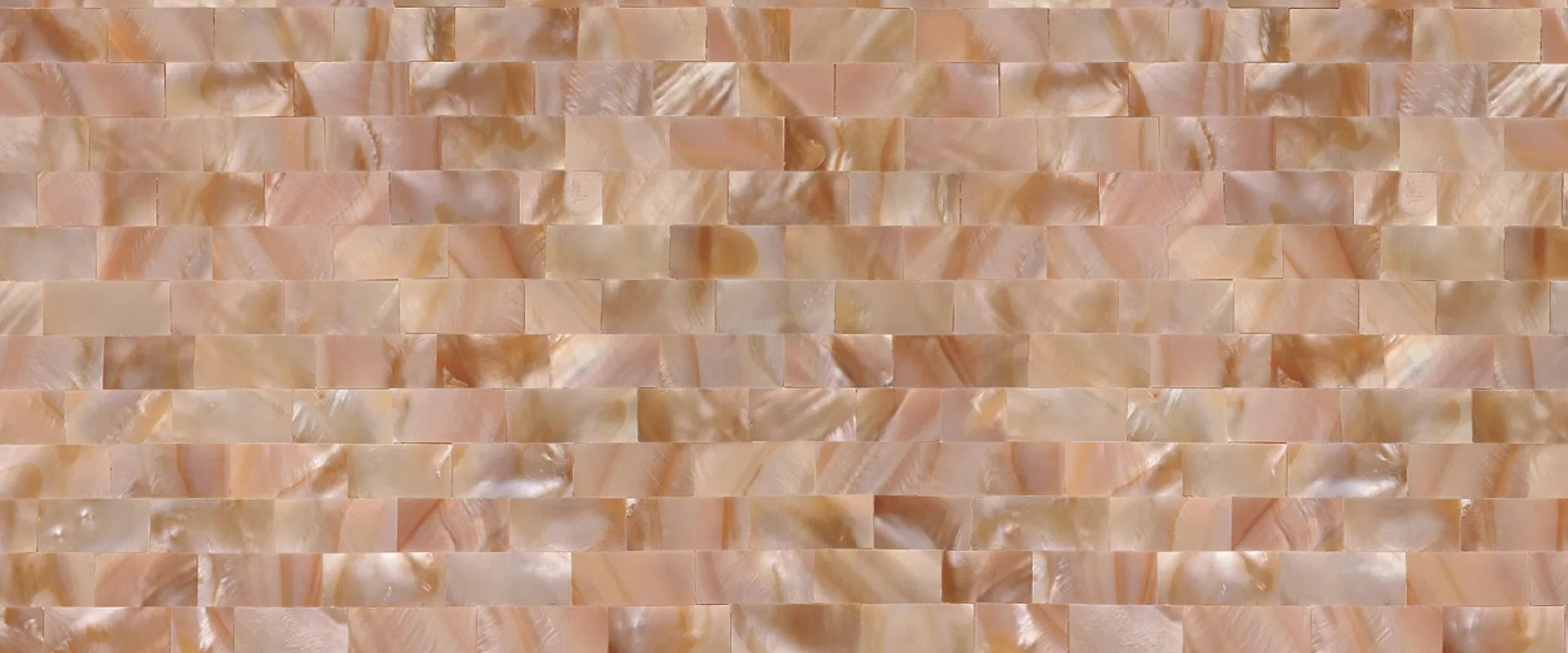 banner-Image