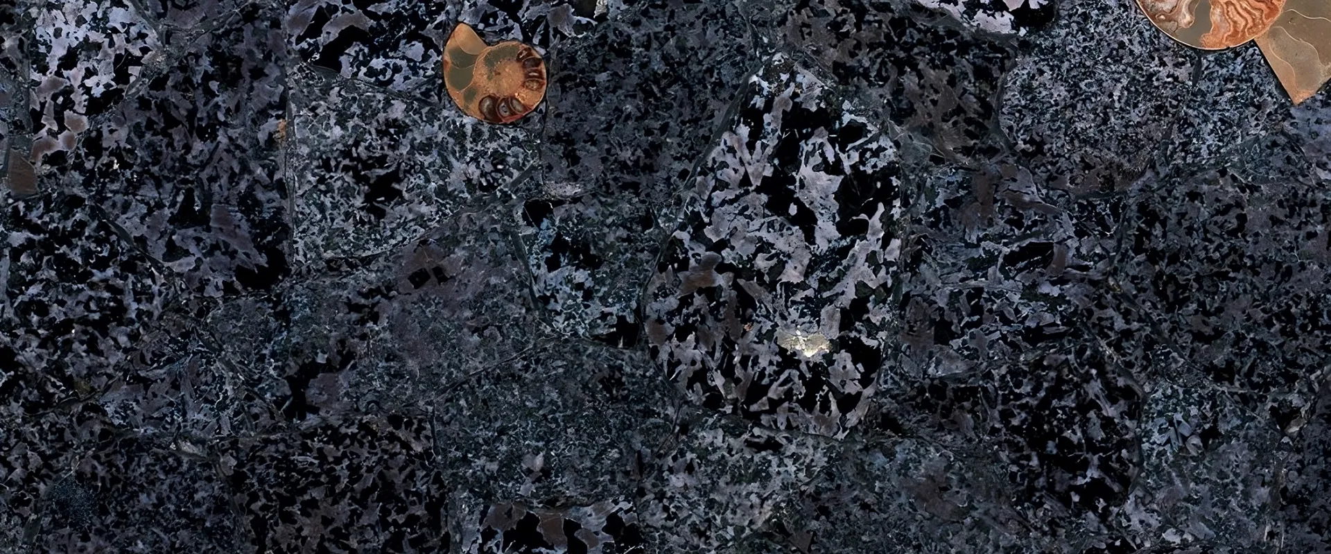 banner-Image