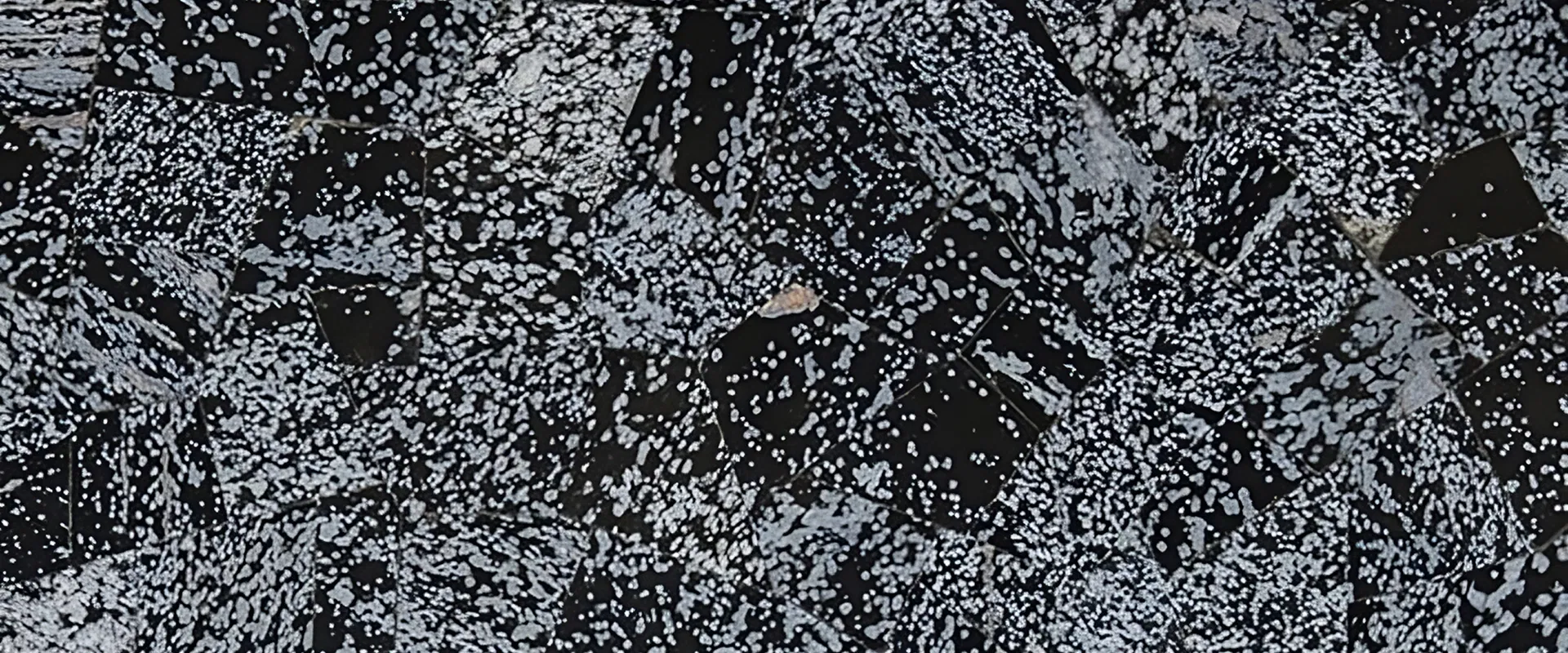 banner-Image